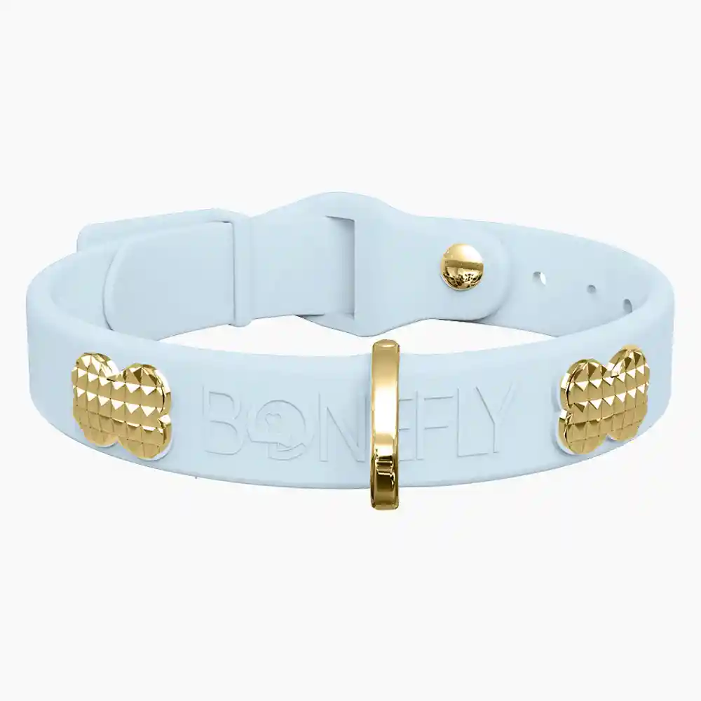 Boneflex Collar Sky Gold + Hueso Spike Dorado