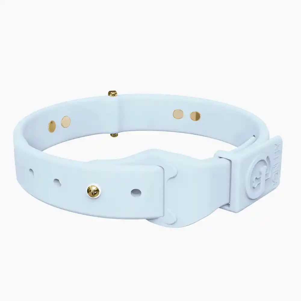 Boneflex Collar Sky Gold + Hueso Spike Dorado