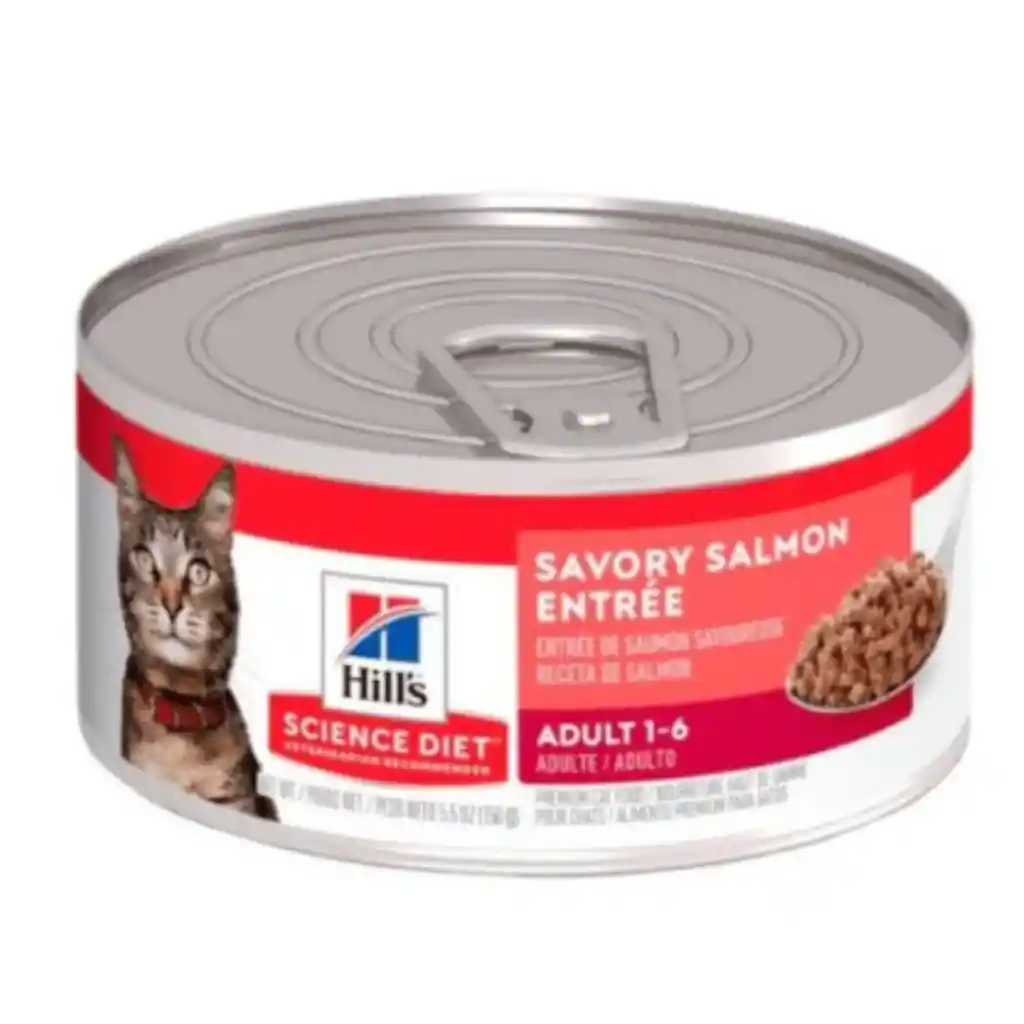 Hills - Gato Adulto Salmon, Lata 156g