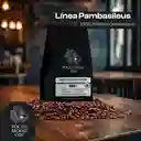 Natural Pambasileus Coffee 100% Arábica Colombiano Castillo Grano Molido 250 Grs