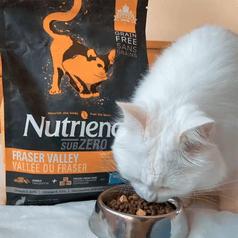 Nutrience Subzero Fraser Valley 4,5 Kg