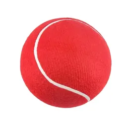 Pelota De Tenis Gigante Para Perros