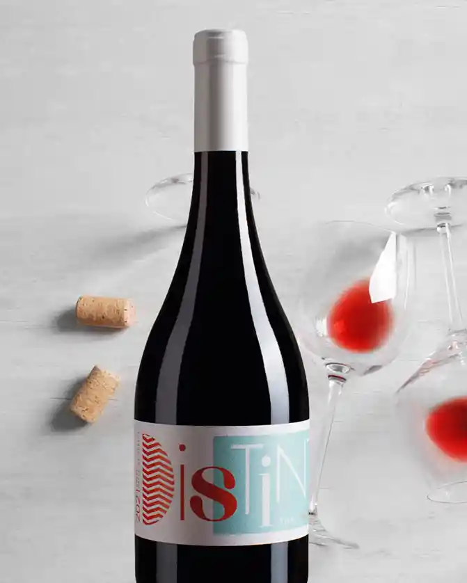 Blend Syrah - Sauvignon Blanc, Distinto | Viña Petits Plaisirs