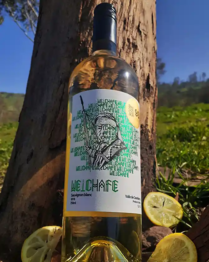 Sauvignon Blanc | Weichafe Wines