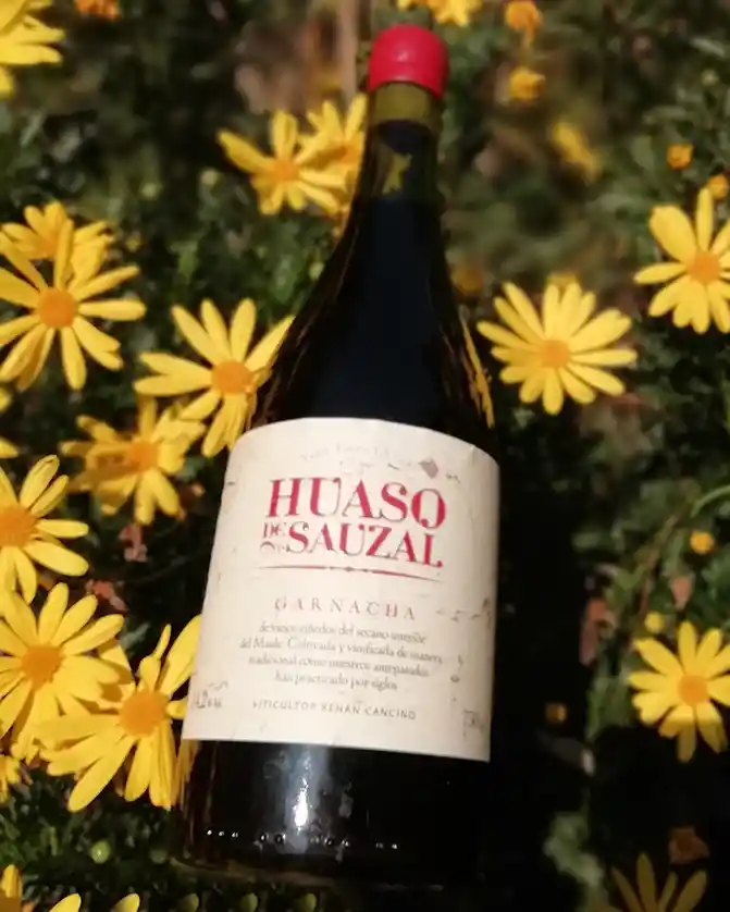 Garnacha | Viña Huaso De Sauzal