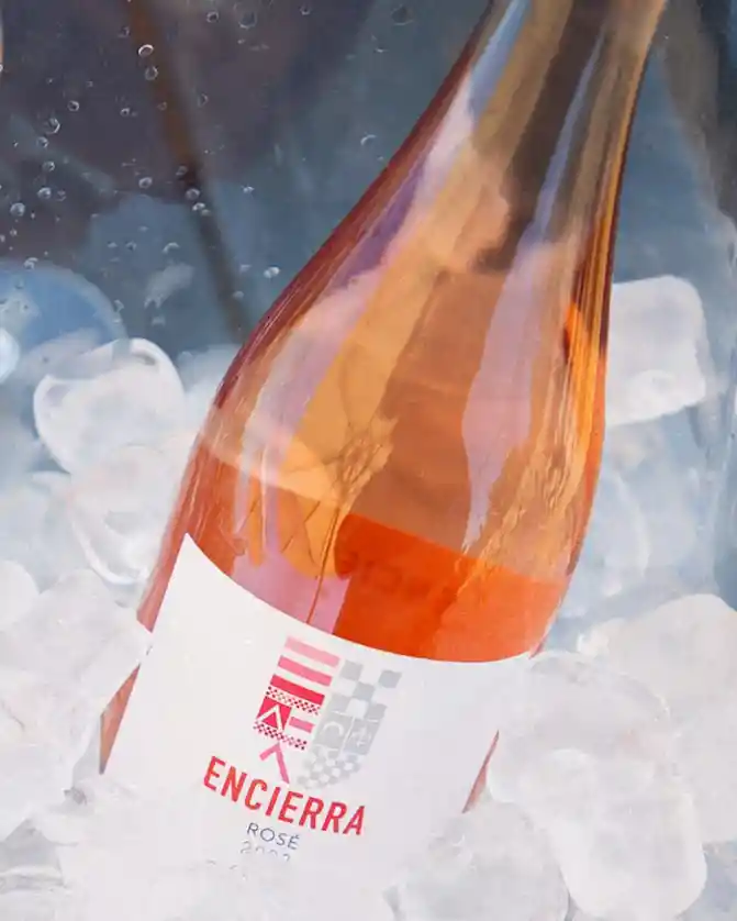 Rosé, Petit Verdot 2021 | Viña Encierra