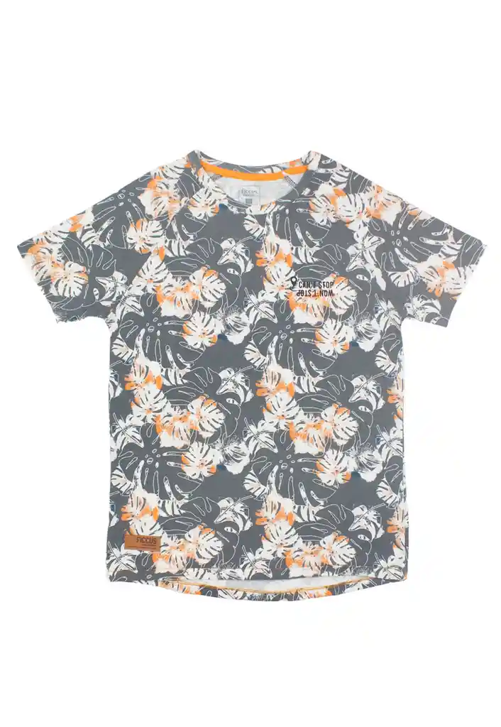 Polera Junior Niño Estampada Free 345 Gris 12 Años