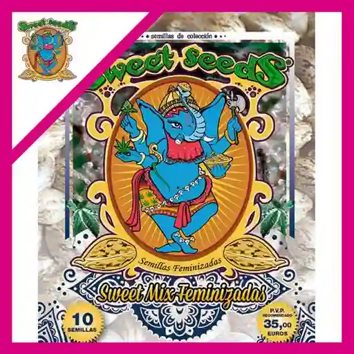 Sweet Mix Fem X10 Sweet Seeds