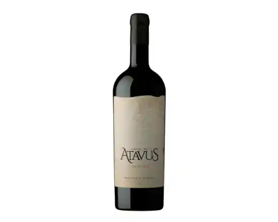 Atavus Carmenere Mendoza Carriel (750cc)