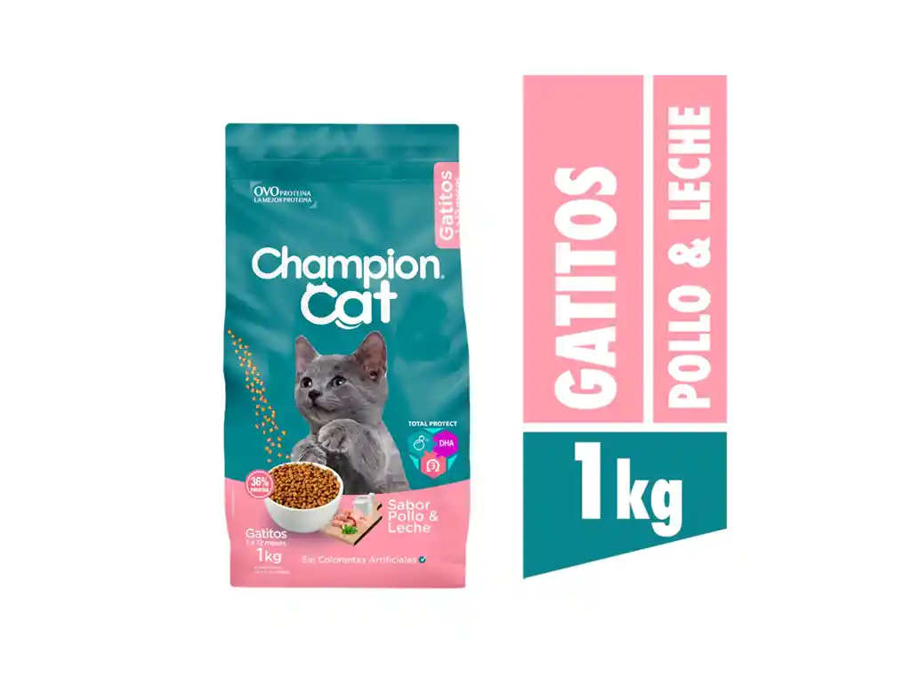 Champion Cat Gatitos