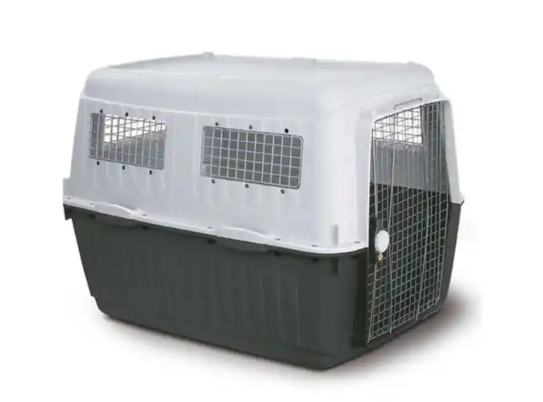 Kennel Jaula De Transporte Bracco 7