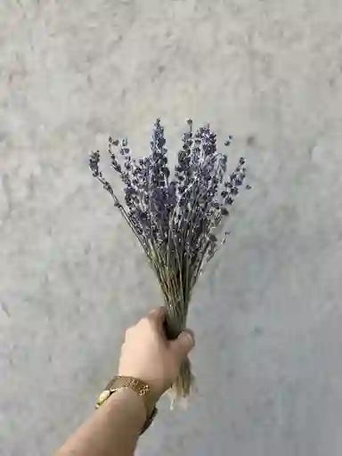 Lavanda Larga Seca