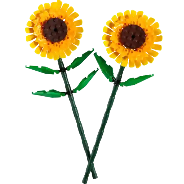 Lego Girasoles 191 Piezas 40524