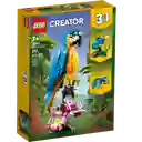 Lego Creator 3 En 1 Perico Exótico 253 Piezas 31136