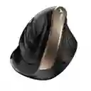 Mouse Genius8250s Vertical Inalámbrico Ergonómico Negro-gold / Tecnocenter