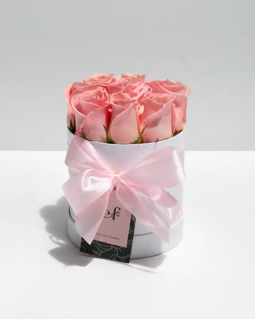 Box Rosas Rosadas