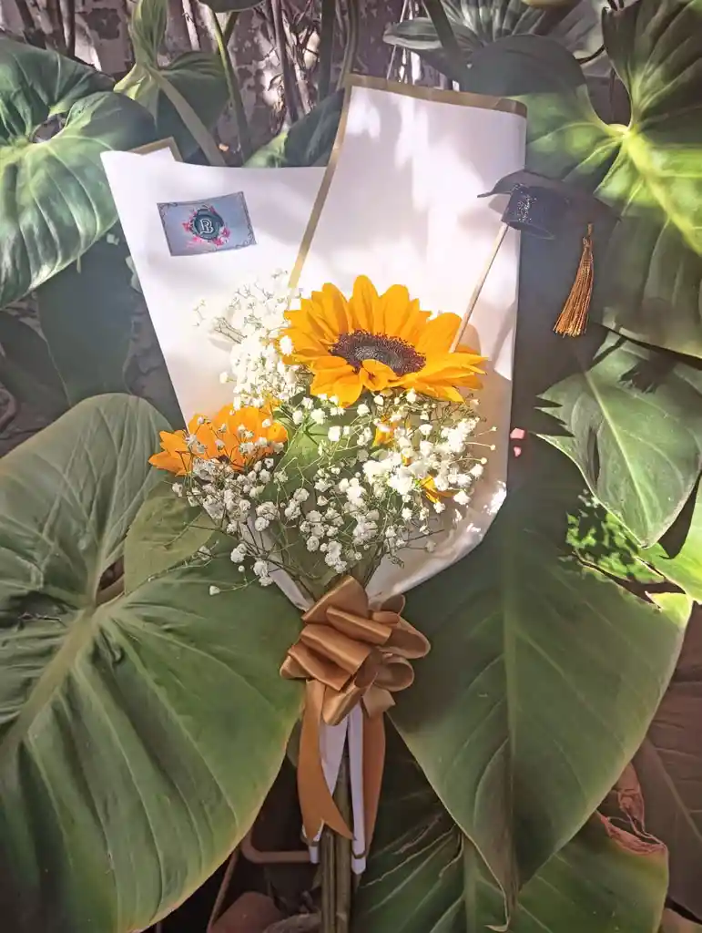 3 Girasoles Con Ilusiones