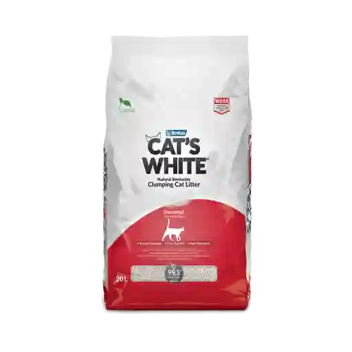 Arena Cat's White Natural