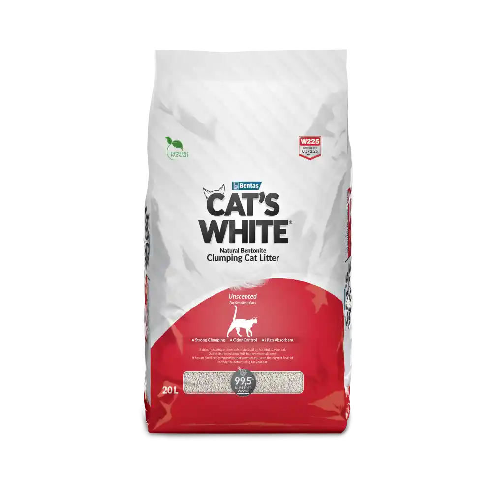 Arena Cat's White Natural