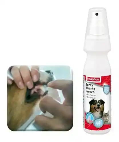 Beaphar Spray Aliento Fresco Perro Y Gato