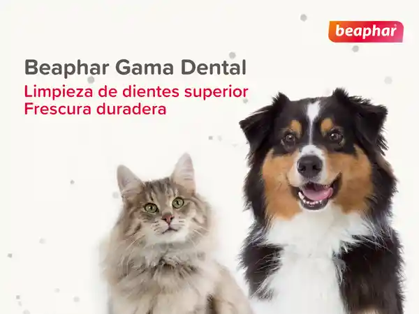 Beaphar Spray Aliento Fresco Perro Y Gato