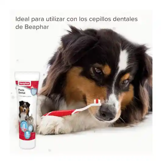 Beaphar Pasta Dentrífica Perros Y Gatos