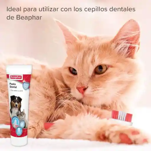 Beaphar Pasta Dentrífica Perros Y Gatos