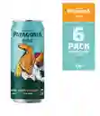 6 Pack Patagonia Hoppy Lager 470ml