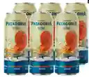 6 Pack Patagonia Blonde Lager 470ml