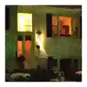 Proyector De Luces Navideñas Star Shower Ultra 9