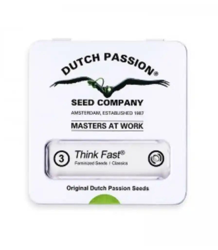 Think Fast Fem X3 2x1 Dutch Passion