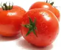 Tomate Kg