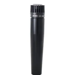 Micrófono Cardioide Para Voz E Instrumentos Audiopro Ap02113
