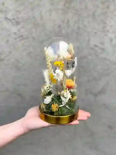 Arreglo Azul Y Cítrico En Fanal