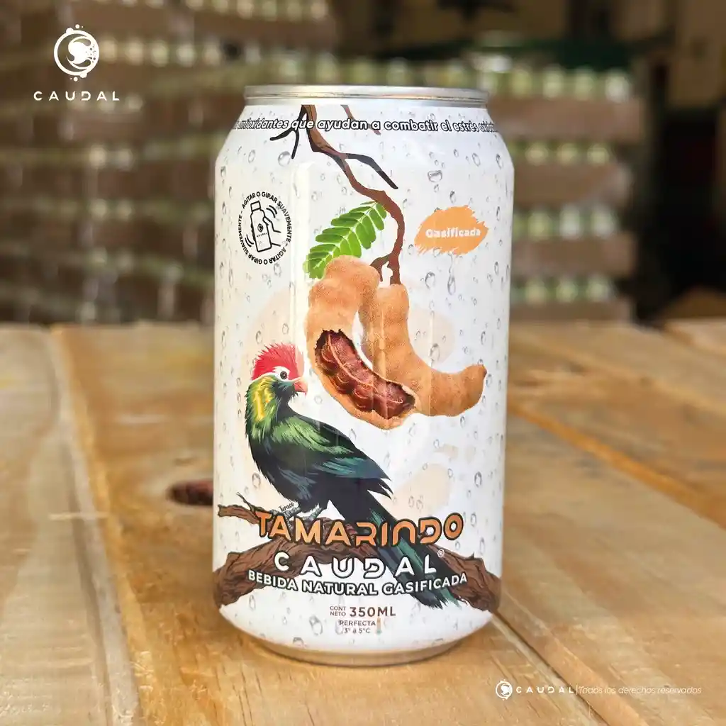 Caudal Tamarindo 350 Ml