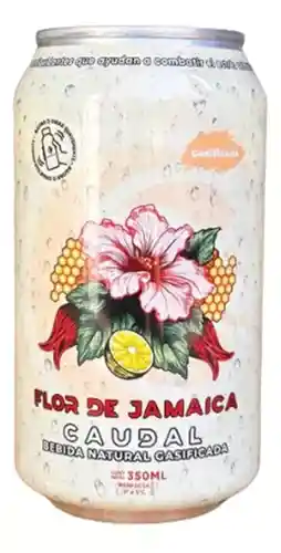 Flor De Jamaica Caudal Bebida 350 Ml