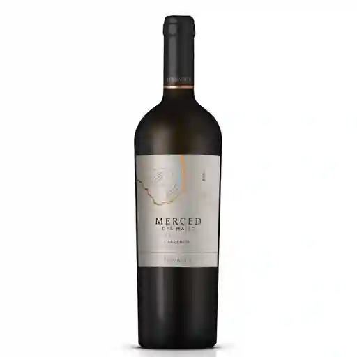 Terramater Merced Del Maipo Carmenere 75