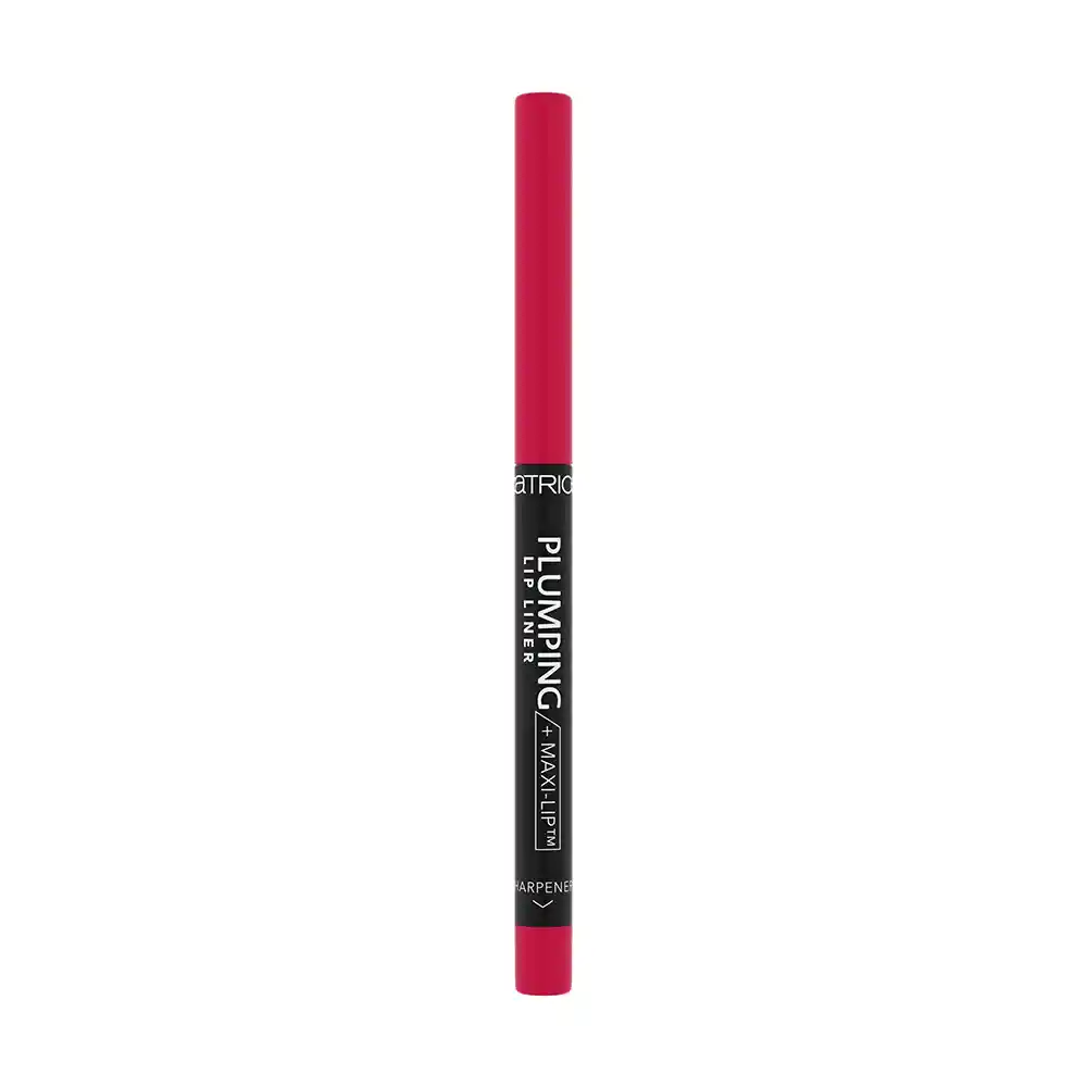 Delineador De Labios Catrice Plumping N°120 Stay Powerful