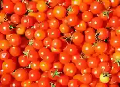 Tomate Cherry