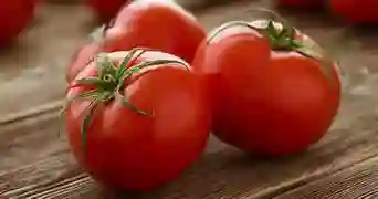 Tomate