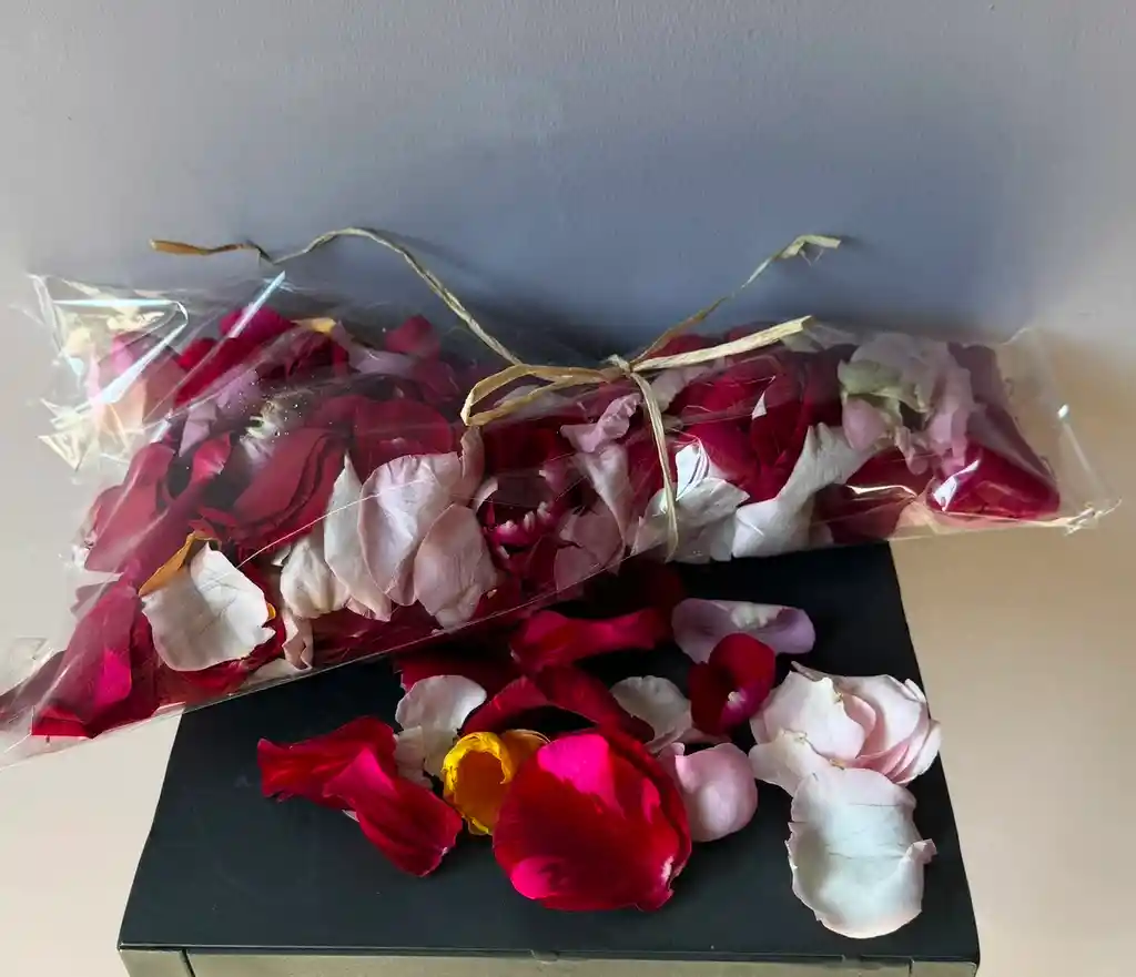 Pétalos De Rosa