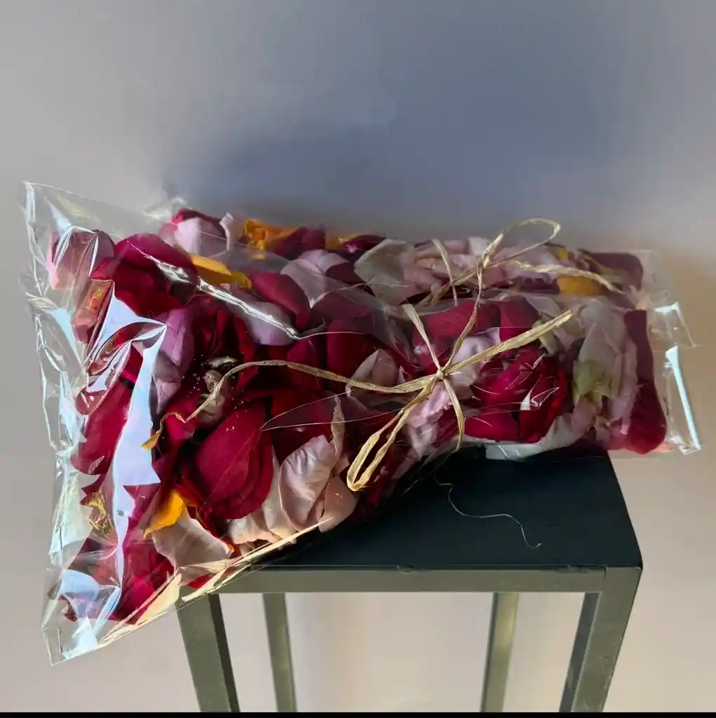 Pétalos De Rosa