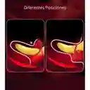 Anillo Petalos Vibrantes