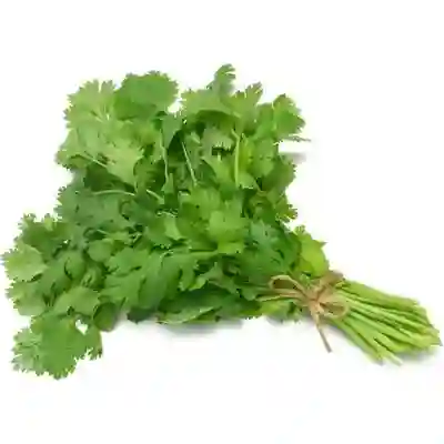 Cilantro Paquete
