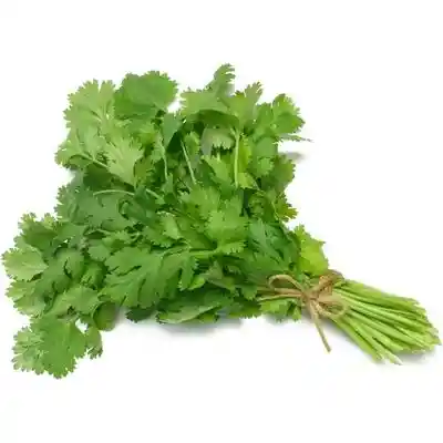 Cilantro Paquete