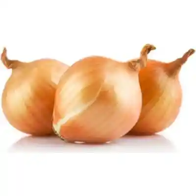Cebolla Amarilla Unidad