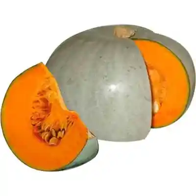 Zapallo Jamboree 1 Kg