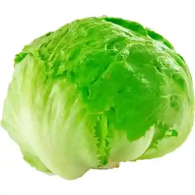 Lechuga Escarola Unidad