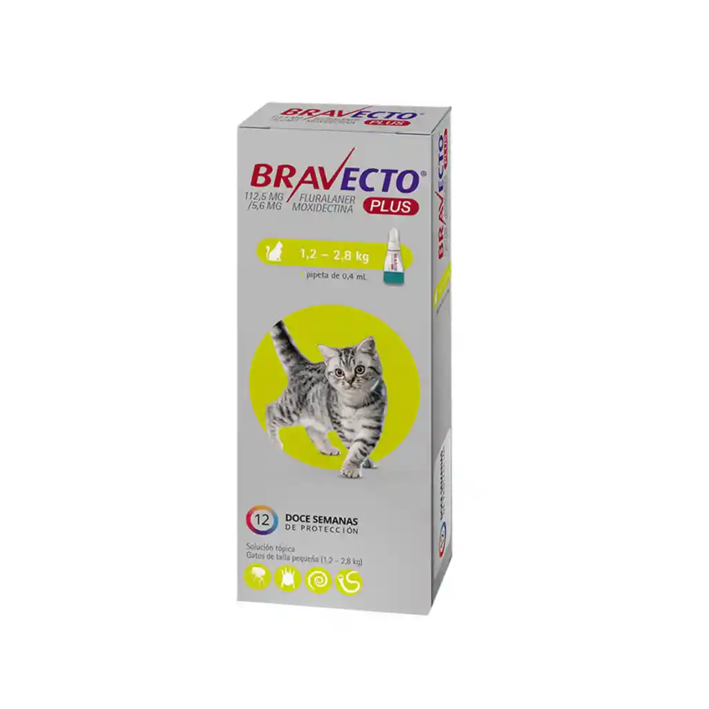 Bravecto Plus Gatitos 1.2 A 2.8 Kg