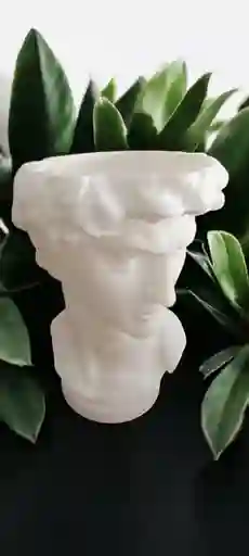 Macetero Busto David